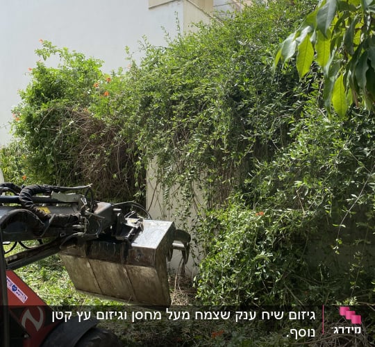 מכונה גוזמת שיחים ליד קיר בית